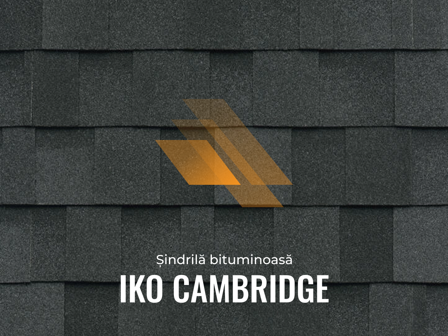 IKO Cambridge